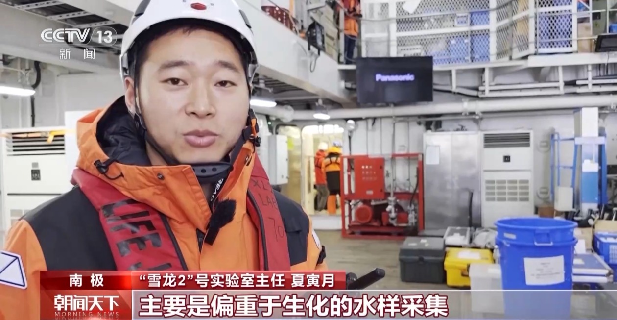 「造冰工厂」冰间湖对南极生态系统的深层影响